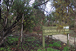 Shenton Bushland by Sally Wallace